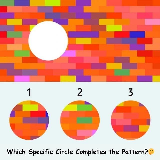 Can you spot the missing piece in this colorful puzzle? Match it with the correct option below.